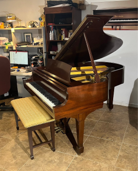 Steinway M 5